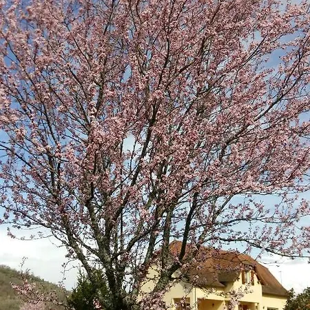 Valley View *