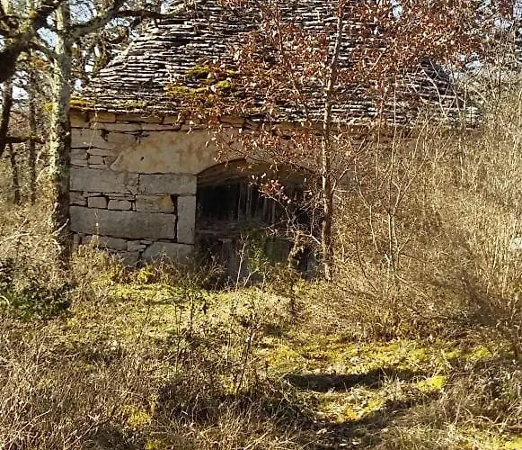 Valley View Brengues