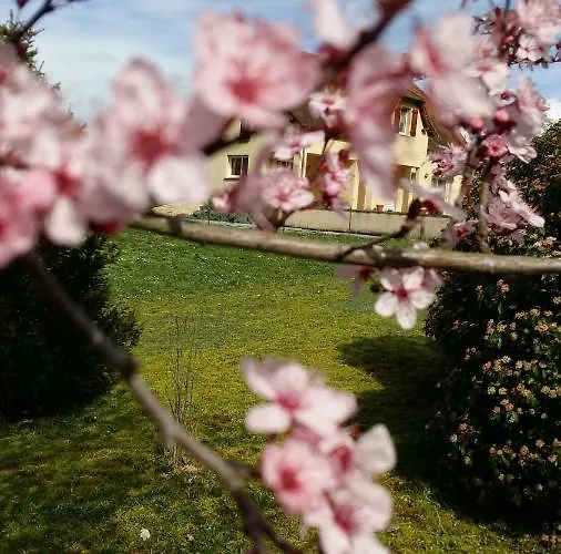 Valley View 4* Brengues