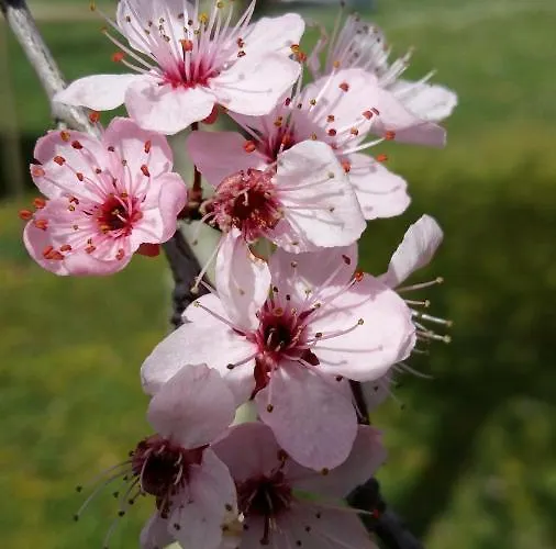 Valley View Bed & Breakfast 4*